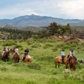 Exploring the Tranquil Charm of Flying Horse Ranch