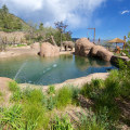 Discover the Wild Side of Colorado Springs: Cheyenne Mountain Zoo