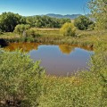 Exploring Fountain Creek: A Must-Try Activity in Colorado Springs