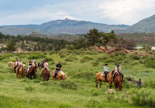 Exploring the Tranquil Charm of Flying Horse Ranch